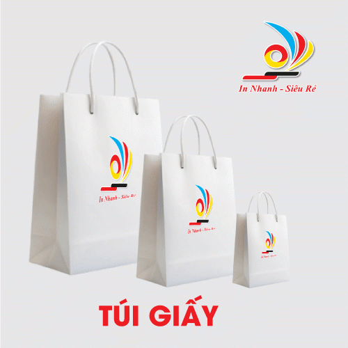IN TÚI GIẤY GIÁ RẺ
